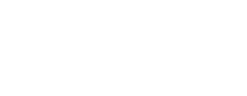 Information Management Institute